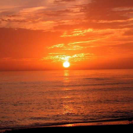 Canal 309 - Right In Siesta Key Village! المظهر الخارجي الصورة